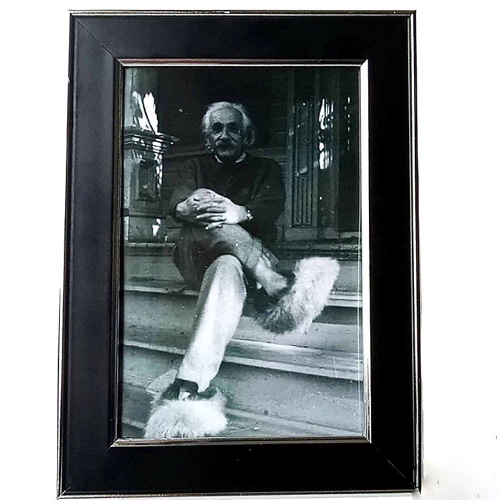 VINTAGE Albert Einstein scientist fuzzy slippers frame photo print art home deco